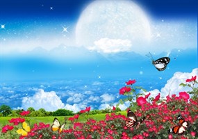 春意盎然psd素材源文件